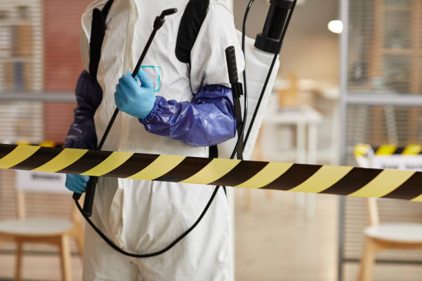Professional Hoarding Cleanup technician working in East Quogue, NY